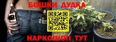твердый Новозыбков