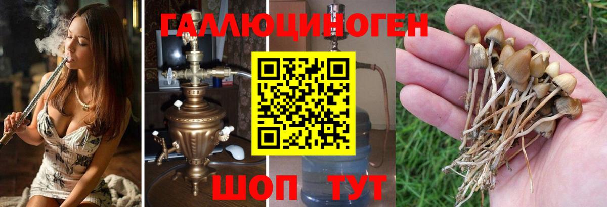 Псилоцибиновые грибы мухоморы Среднеуральск
